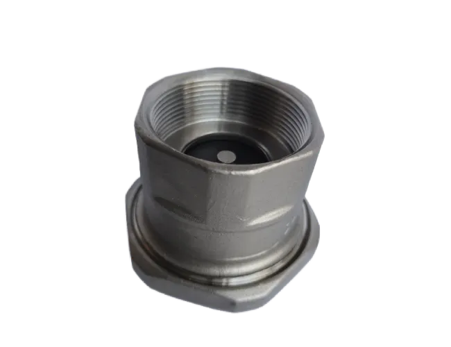 União Check Valve BTFlex - vista 2