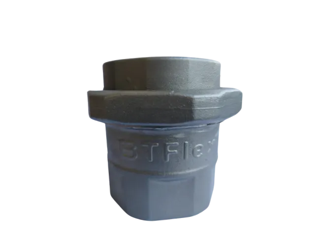 União Check Valve BTFlex 2"